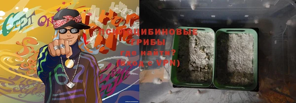 ешки Белокуриха